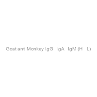 Goat anti Monkey IgG + IgA + IgM (H + L)